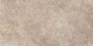Afbeelding #3: GeoCeramica® 60x60x4 Landstone Taupe