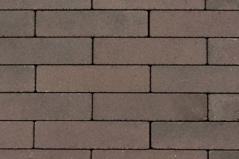 HDCMB65JS.G0175.jpg