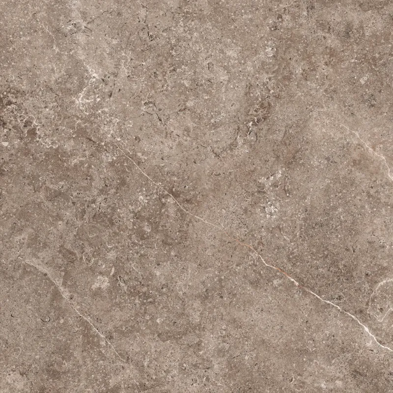 QTCM55212.GCERA.jpg