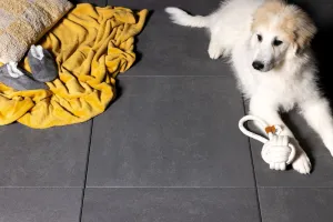 Afbeelding #2: Trippel T 2Drive 60x60x6 Zwart/Grijs gen