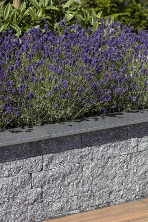 Afbeelding #3: Gevelst. Rox 37,7x9x8,9 antraciet