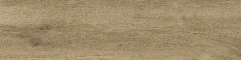 QMCM54869.GCERA.jpg