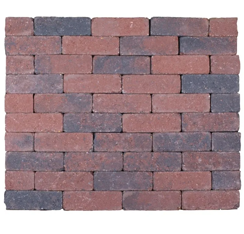 524006.jpg