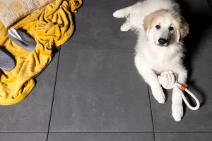 Afbeelding #61: Trippel T 80x80x4 Zwart/Grijs gen