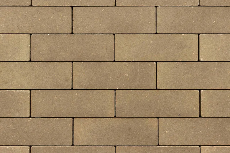HDCMC89JS.G0175.jpg