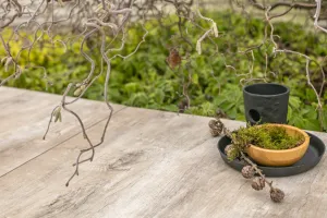 Afbeelding #3: GeoCeramica® 120x30x4 Timber Noce
