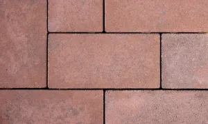 Afbeelding #47: GeoCotto 21x10,5x8 Capo