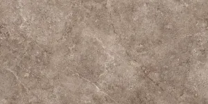 Afbeelding #52: GeoCeramica® 60x60x4 Landstone Earth