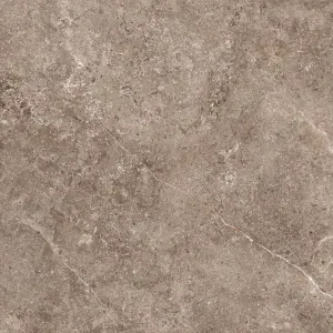 Afbeelding #63: GeoCeramica® topplaat 100x100x1 Landstone Earth (Dark Taupe)